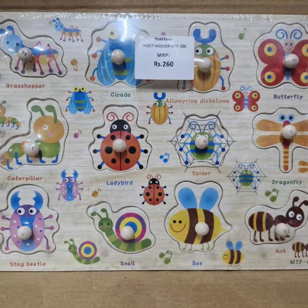 WOODEN INSECT MTF- 026